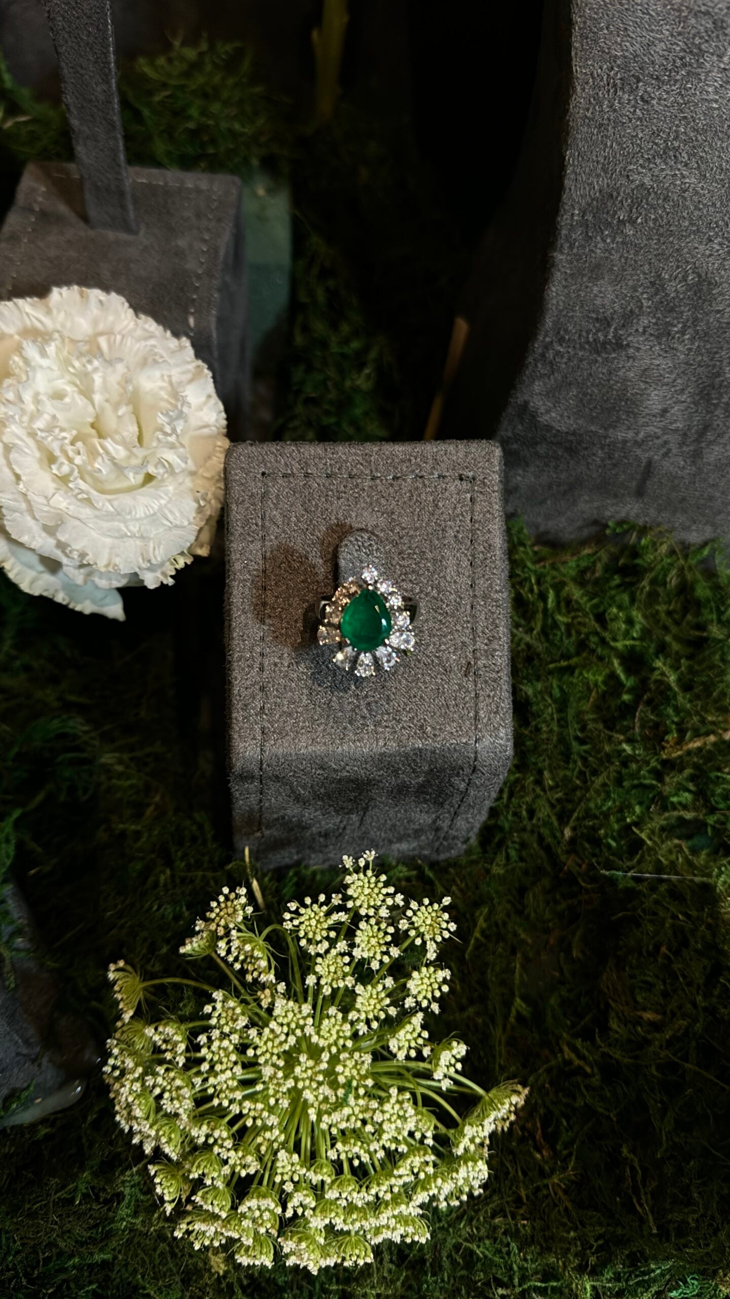 ALBIDAA | GREEN